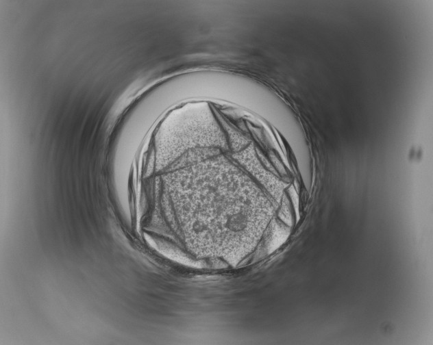 X0000112720150200910011141