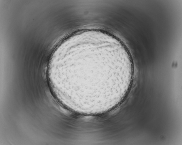 X0000112720153200910011141