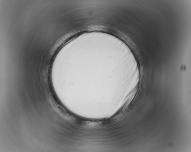 X0000112720155200910011141