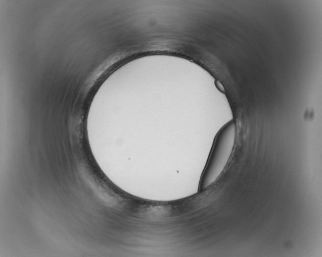 X0000112720156200910011141