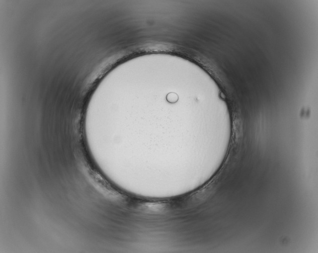 X0000112720159200910011141