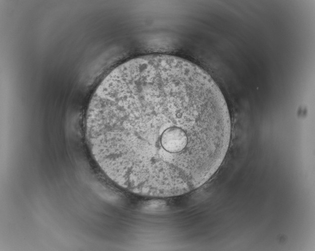 X0000112720162200910011141