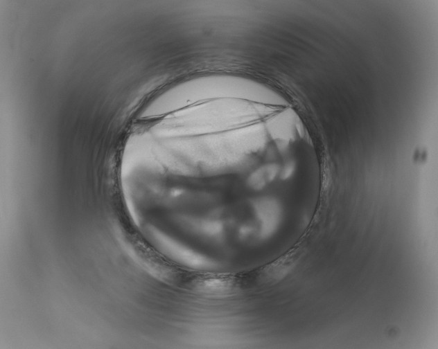 X0000112720163200910011141