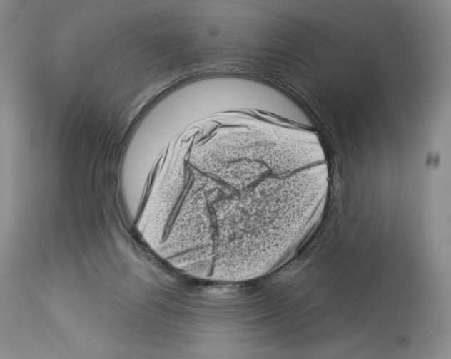 X0000112720164200910011141