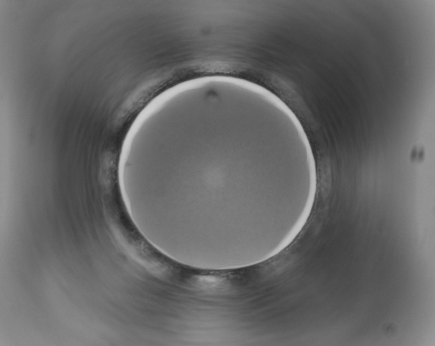 X0000112720167200910011141