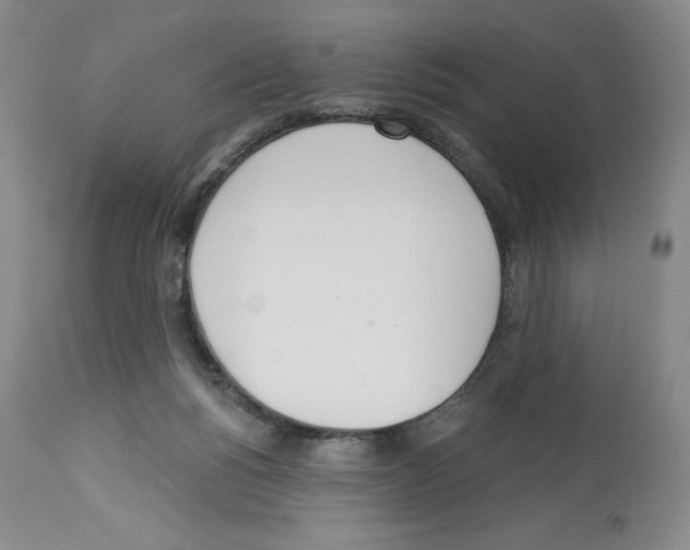 X0000112720168200910011141