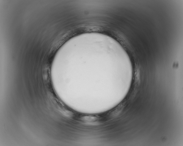 X0000112720169200910011141