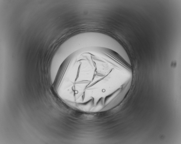 X0000112720170200910011141