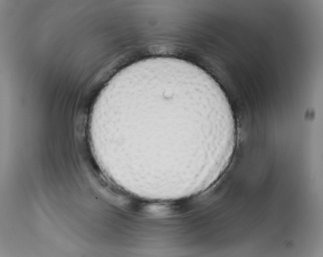 X0000112720171200910011141