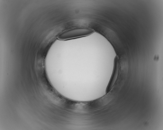 X0000112720172200910011141