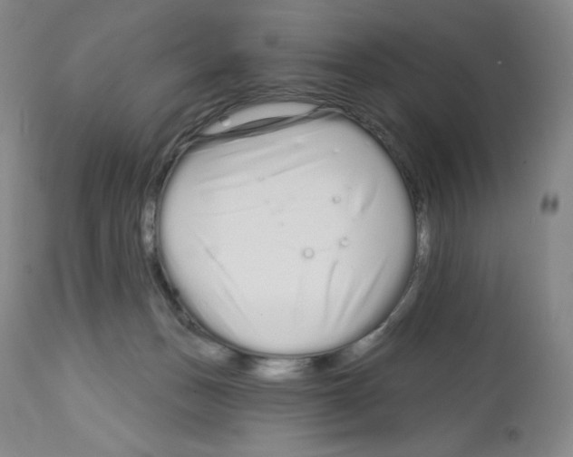 X0000112720175200910011141