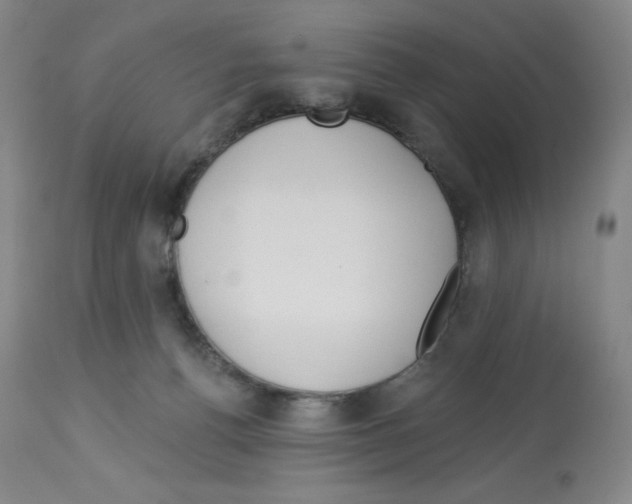 X0000112720176200910011141