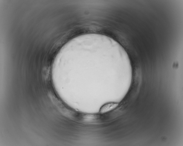 X0000112720177200910011141