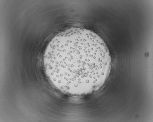 X0000112720179200910011141