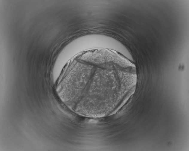 X0000112720180200910011141