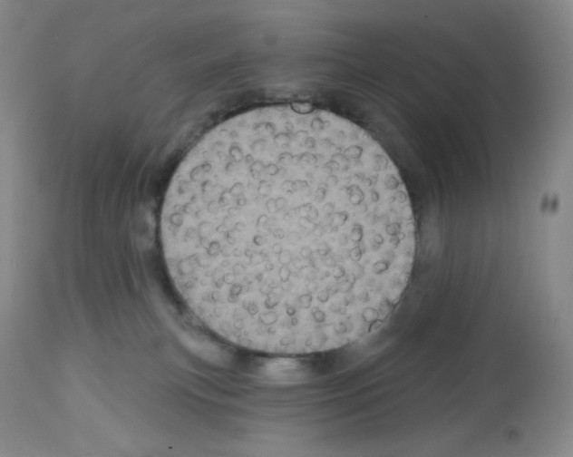 X0000112720183200910011141