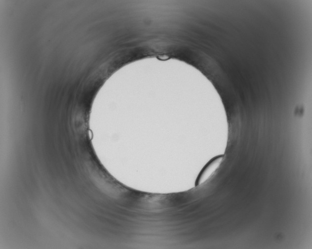 X0000112720186200910011142