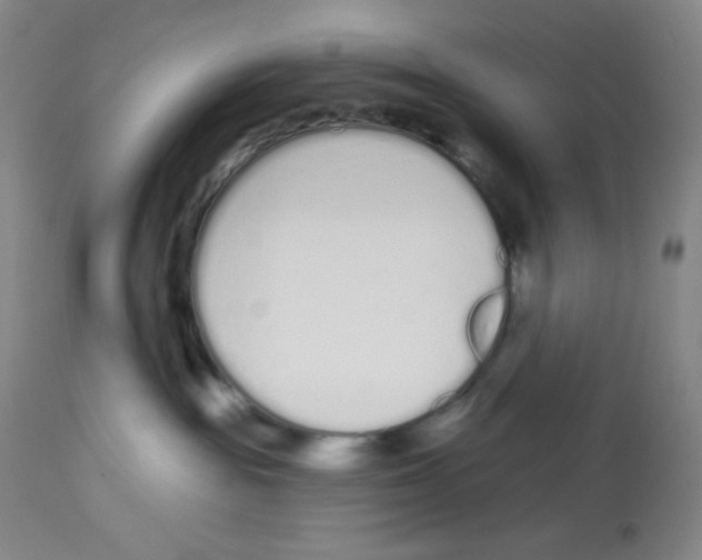 X0000112720189200910011142