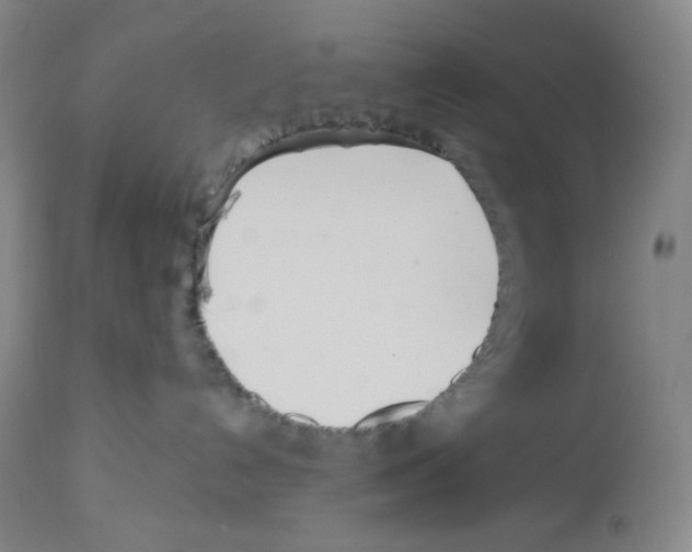 X0000112720192200910011142