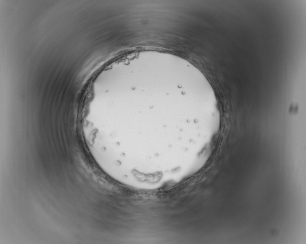 X0000112720194200910011141