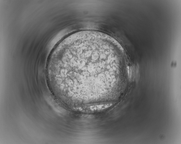 X0000112720195200910011140