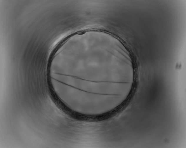 X0000112720196200910011140