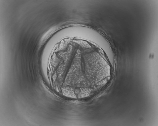 X0000112720197200910011140