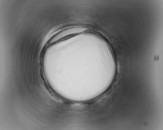 X0000112720198200910011140