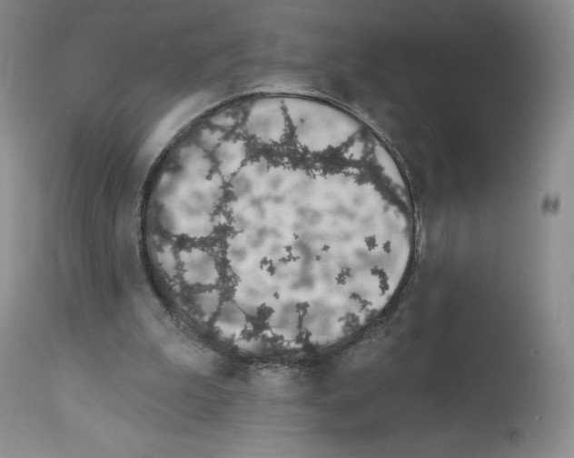 X0000112720199200910011140