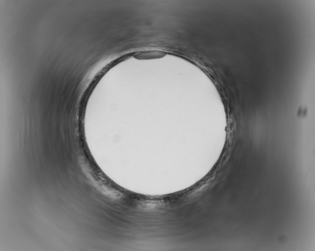 X0000112720200200910011140