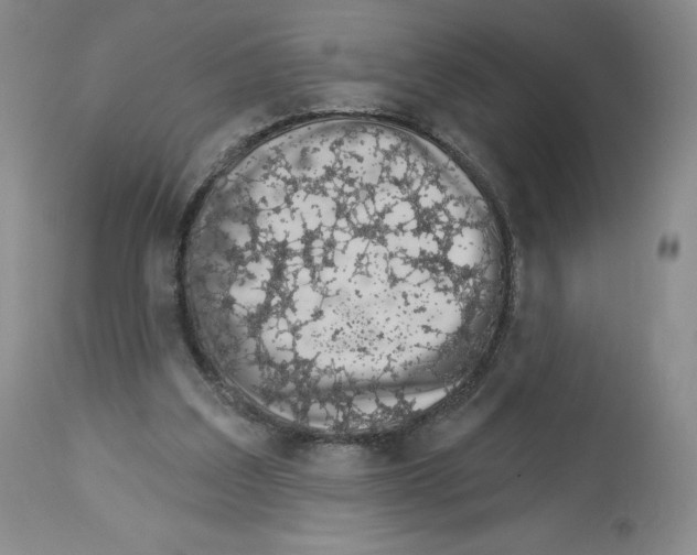 X0000112720203200910011140