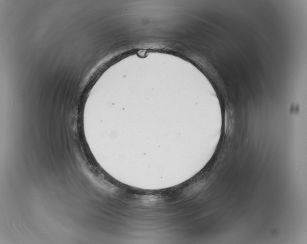 X0000112720204200910011140