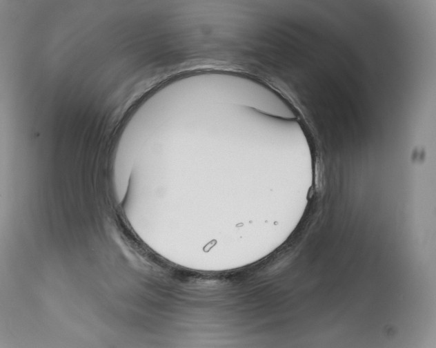 X0000112720205200910011140