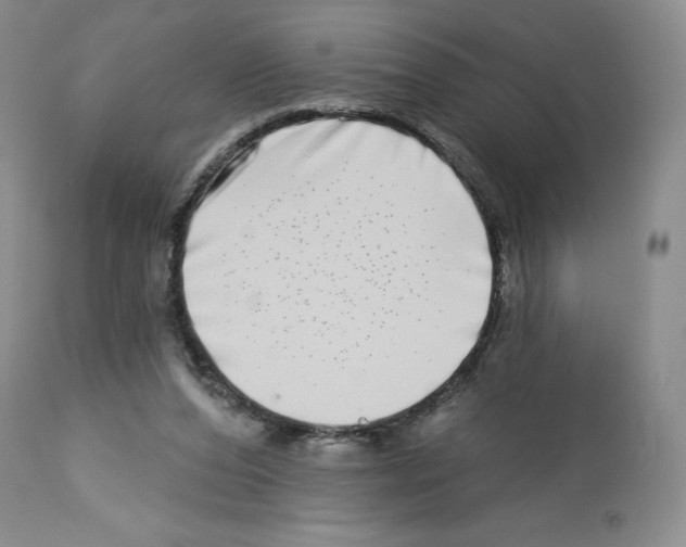 X0000112720208200910011140