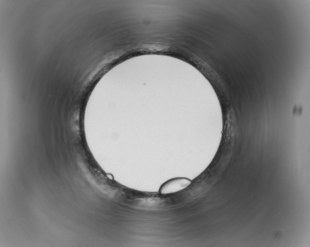 X0000112720212200910011140