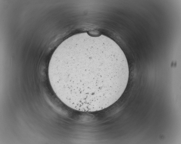 X0000112720215200910011140