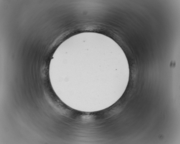 X0000112720216200910011140