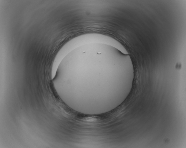 X0000112720219200910011140