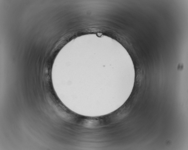 X0000112720220200910011140