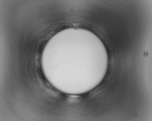 X0000112720222200910011140