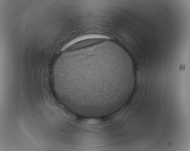 X0000112720223200910011140