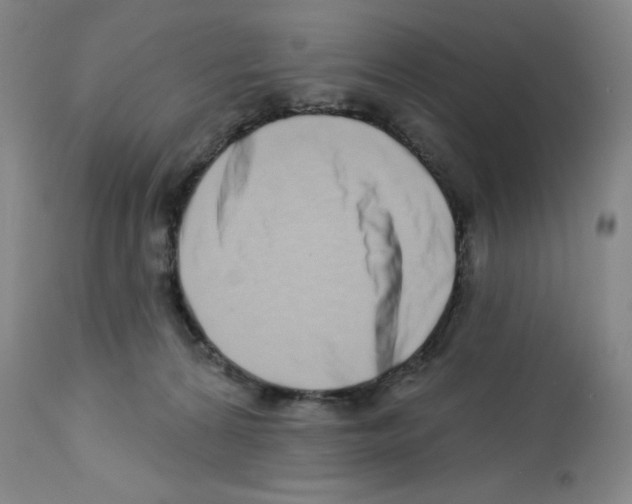 X0000112720224200910011140