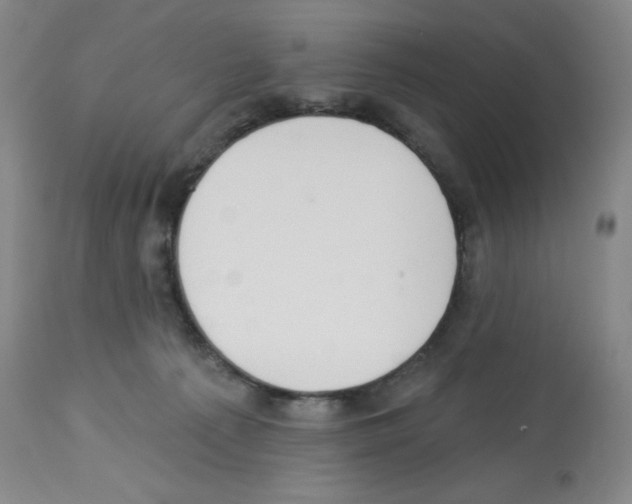 X0000112720225200910011140