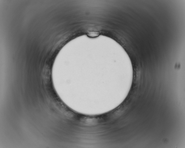 X0000112720228200910011140