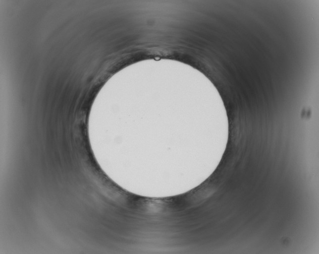 X0000112720229200910011140