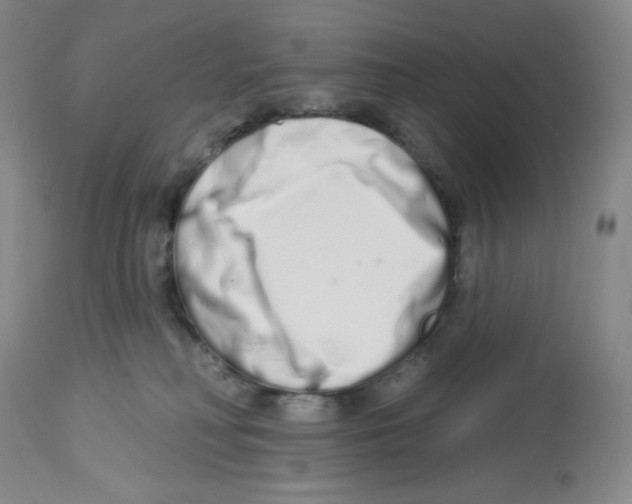 X0000112720230200910011140