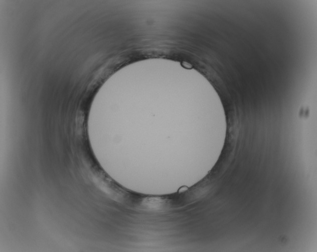 X0000112720231200910011140