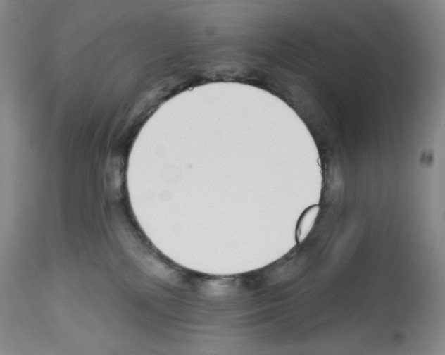 X0000112720232200910011140