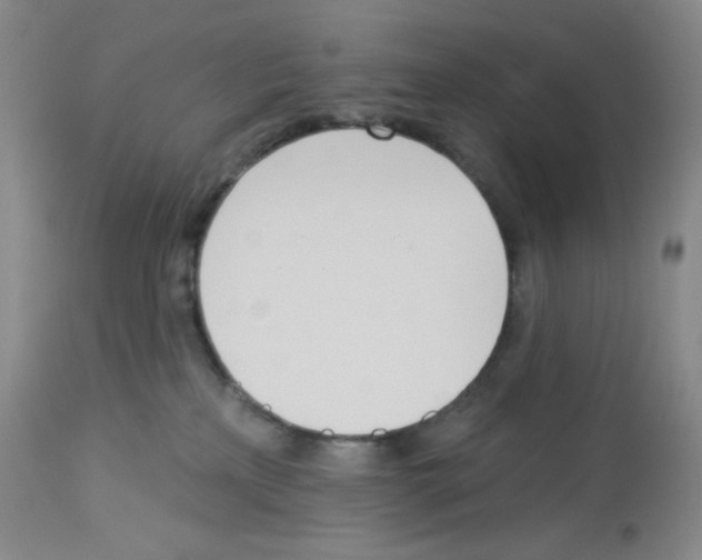 X0000112720233200910011140