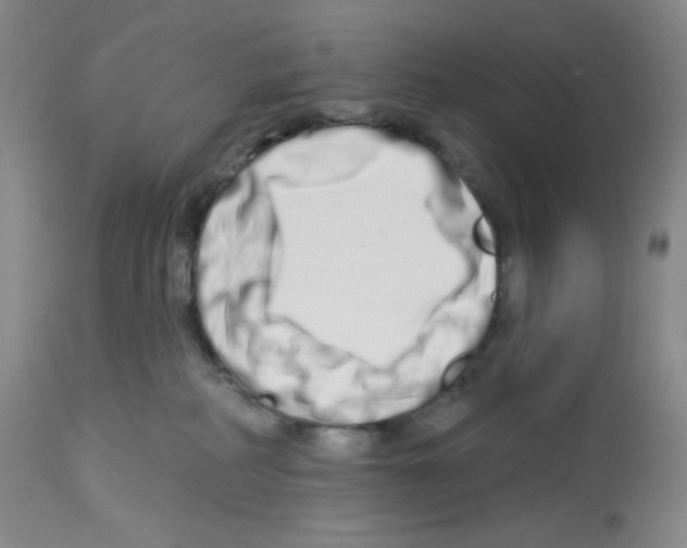 X0000112720234200910011140